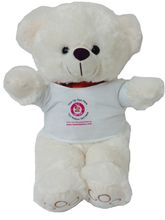 12" CREAM TEDDY BEAR WITH LOGO TEE (#TF7)