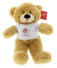 #TG45- 12" EMBROIDERY EYE BEAR WITH LOGO