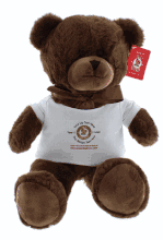 #TG80- 12" CHOCOLATE BEAR WITH LOGO TEE