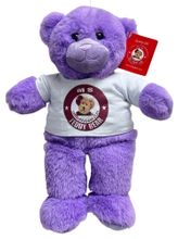 #TG87- 12" PURPLE TEDDY BEAR EMBROIDERY EYES WITH LOGO TEE