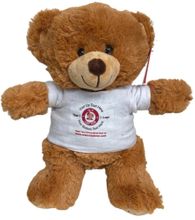 #TF19- 12" BROWN TEDDY BEAR WITH LOGO