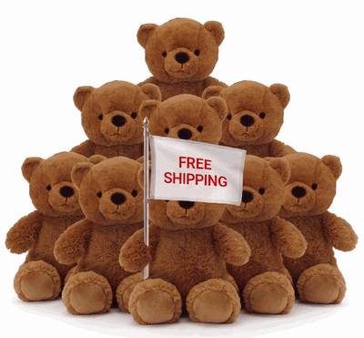 #FL113- FREE SHIPPING BOX- 15" EMBROIDERY EYES BEARS (14 PCS, $7.14/PC)