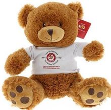 #TC01- 7" BROWN TEDDY bear with logo tee 