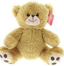 #A26- 7" EMBROIDERY EYE TEDDY BEAR  