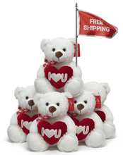 #FV9-FREE SHIPPING BOX- 10" VALENTINE BEARS (18 PCS, $5.56/PC)