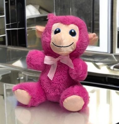 #SD31- 9" PINK PLUSH MONKEY