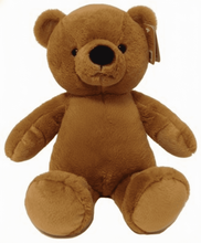 #B19- 9" EMBROIDERY EYE TEDDY BEAR