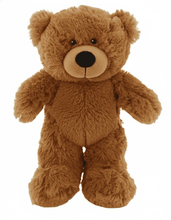 #C1e- 12" EMBROIDERY TEDDY BEAR 