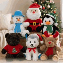 Holiday & Christmas Collection