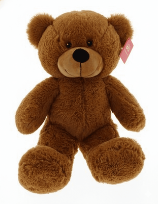 #E9e,18" EMBROIDERY EYE TEDDY BEAR