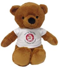 #TB15- 9" TEDDY BEAR WITH LOGO TEE
