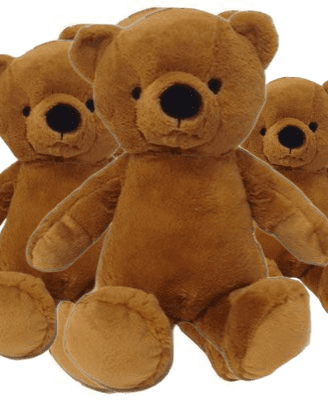 #FL113- FREE SHIPPING BOX- 15" EMBROIDERY EYES BEARS (12 PCS, $8.33/PC)