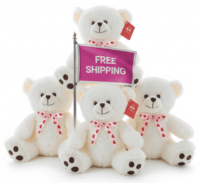 #FV18- FREE SHIPPING BOX- 10" VALENTIN ES BEAR (18 PCS, $5.56/PC)
