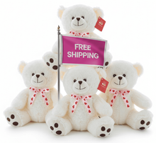#FV18- FREE SHIPPING BOX- 10" VALENTIN ES BEAR (18 PCS, $5.56/PC)