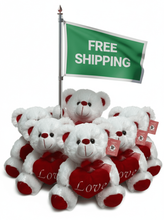 #FV4- FREE SHIPPING BOX- 10" LOVE TEDDY BEARS (18 PCS, $5.56/PC)
