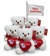 #FV6- FREE SHIPPING BOX- 10" LOVE PINK BEARS (18 PCS, $5.56/PC)