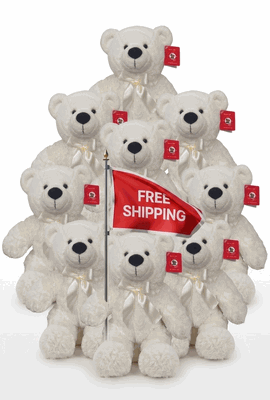#FM101- FREE SHIPPING BOX- 12" TEDDY BEARS (18 PCS, $5.56/PC)