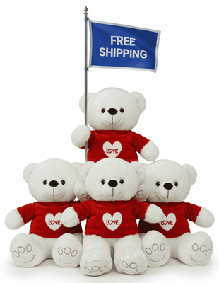 #FV19- FREE SHIPPING BOX- 10" VALENTINE BEARS (18 PCS, $5.56/PC)