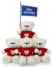#FV19- FREE SHIPPING BOX- 10" VALENTINE BEARS (18 PCS, $5.56/PC)