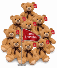#FM104- FREE SHIPPING BOX- 11" SITTING TEDDY BEARS (16 PCS, $6.25/PC)