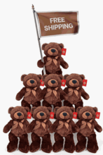 #FM103- Free Shipping Box - 12" Brown Plush Teddy Bears (18 Pcs Bulk Pack, $5.56/Pc)