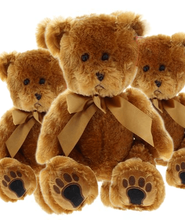 #FM109- FREE SHIPPING BOX - 12" BROWN TEDDY BEARS (14 PCS/BOX, $7.14/PC) 