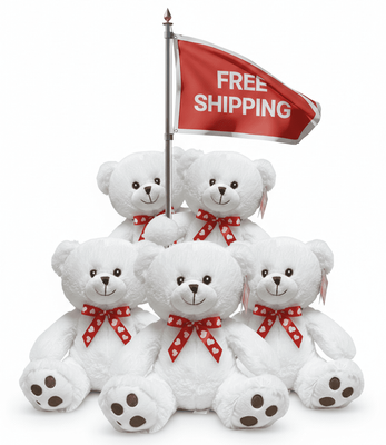 FREE SHIPPING BOX- 10" VALENTIN ES BEAR (18 PCS, $5.56/PC) (#FV13)