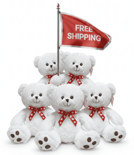 FREE SHIPPING BOX- 10" VALENTIN ES BEAR (18 PCS, $5.56/PC) (#FV13)