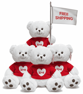 #FV15- FREE SHIPPING BOX- 10" VALENTINE BEARS (18 PCS, $5.56/PC)
