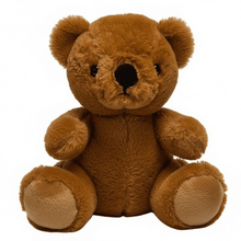 #A17- 7" EBROIDERY EYES BEAR