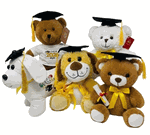 Graduation Bears