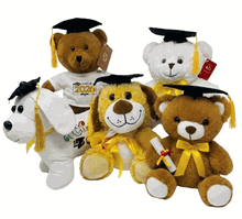 Class of 2026: Graduation Bears