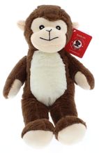 #SC3e- 15" EMBROIDERY EYE Monkey