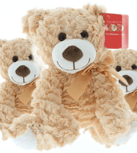 #FM114- FREE SHIPPING BOX- 10" MIX TEDDY BEARS (16 PCS, $6.25/PC) 