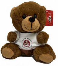 #TB26- 7" TEDDY BEAR WITH LOGO