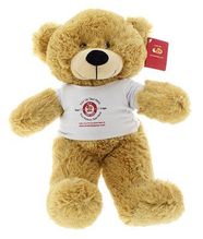 #TK10-18" TEDDY BEAR WITH YOUR LOGO TEE