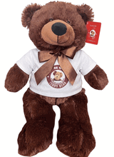 #TD18- 12" CHOCOLATE BROWN BEAR WITH LOGO