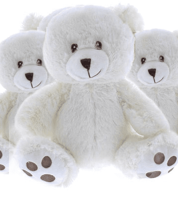 #FM116- FREE SHIPPING BOX- 10" TEDDY BEARS (16 PCS, $6.25/PC)