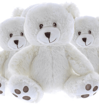 #FM116- FREE SHIPPING BOX- 10" TEDDY BEARS (16 PCS, $6.25/PC)