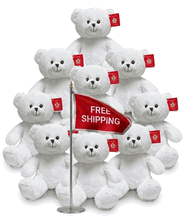 #FM116- FREE SHIPPING BOX- 10" TEDDY BEARS (18 PCS, $5.56/PC)