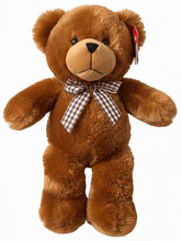 #C20- 13" TEDDY BEAR 
