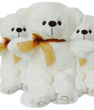 #FM112- FREE SHIPPING BOX- 12" CREAM TEDDY BEARS (14 PCS, $7.14/PC)