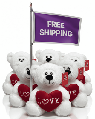 #FV12- FREE SHIPPING BOX- 10" VALENTINE BEARS (20 PCS, $5.00/PC) - sold out