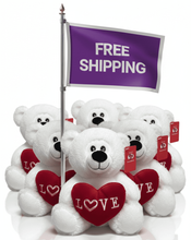 #FV12- FREE SHIPPING BOX- 10" VALENTINE BEARS (20 PCS, $5.00/PC) - sold out