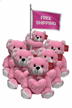 #FV6- FREE SHIPPING BOX- 12" LOVE PINK BEARS (13 PCS, $7.69/PC)