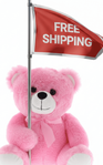 Valentine Free Shipping