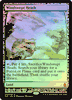 WINDSWEPT HEATH EXPEDITIONS - HQ Proxy FOIL