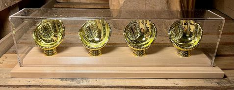 Four Ball Gold Glove Holder with Cover