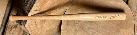 WONDERBOY/WONDERGIRL 18" MINI BAT ~ PERSONALIZE IT