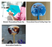 $0.99 Sample Hand Fan